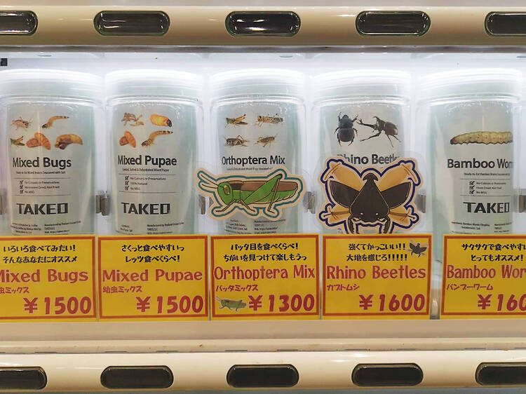 Edible Insect Machine (Ameyoko) — Jihanki Atlas